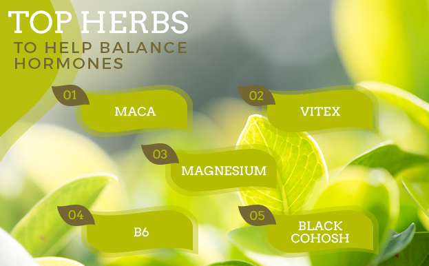top herbs balance hormones